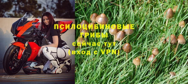 тгк Баксан
