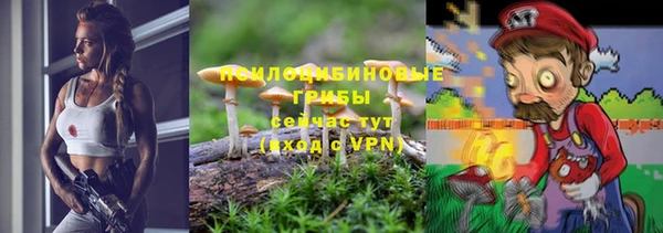 ПСИЛОЦИБИНОВЫЕ ГРИБЫ Балабаново
