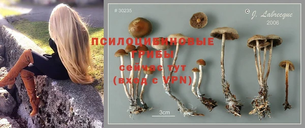 ПСИЛОЦИБИНОВЫЕ ГРИБЫ Балабаново