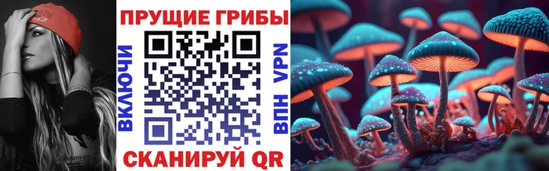 Галлюциногенные грибы Cubensis  Спасск-Дальний 